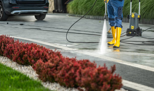 Best Affordable Power Washing  in Brandywine, MD